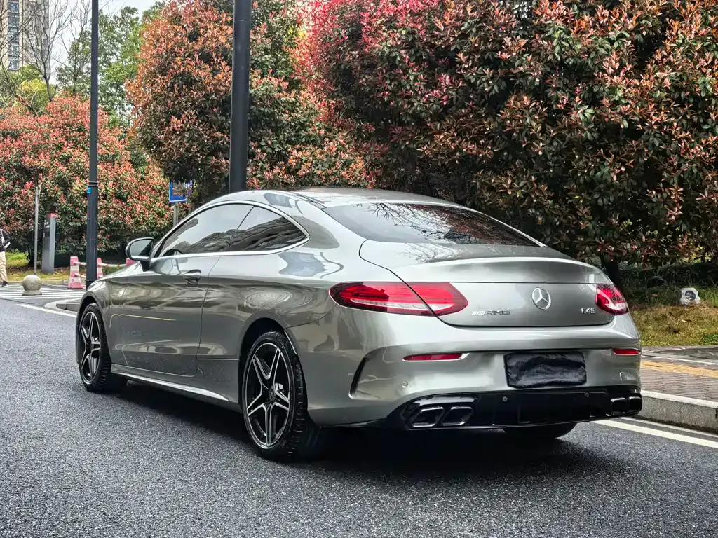 Mercedes-Benz C-Class (Import) — фото 10