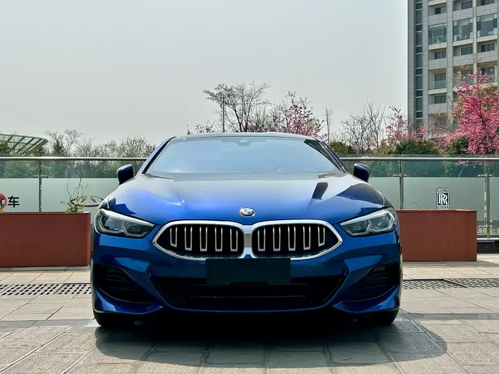 BMW 8 Series — фото 5