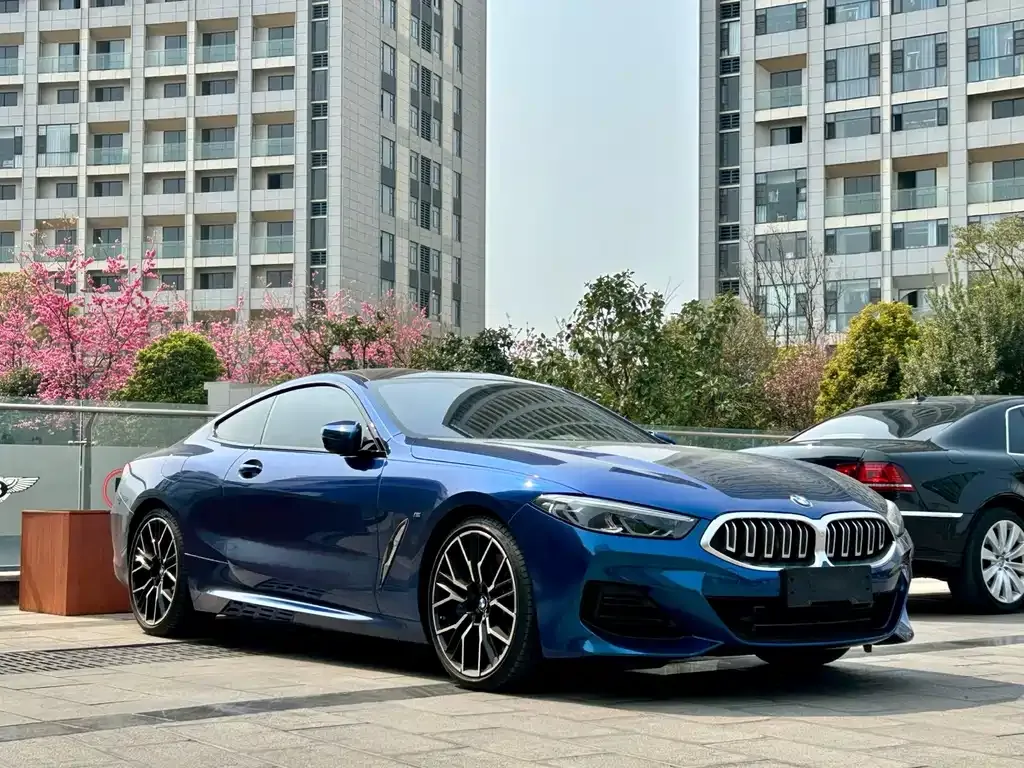 BMW 8 Series — фото 10