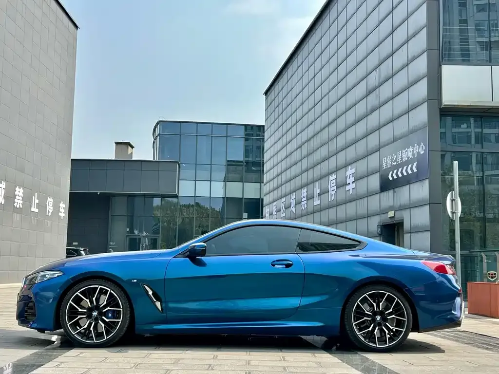 BMW 8 Series — фото 8