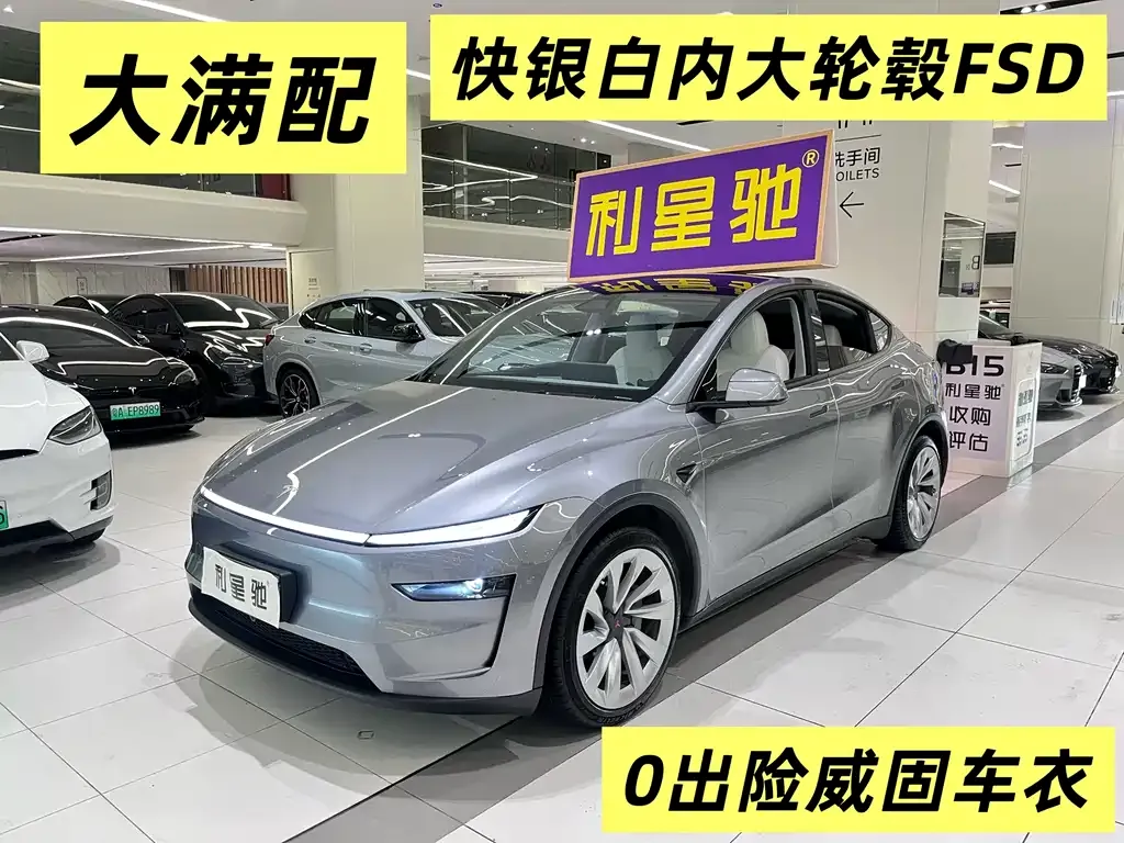 Tesla Model Y — фото 1