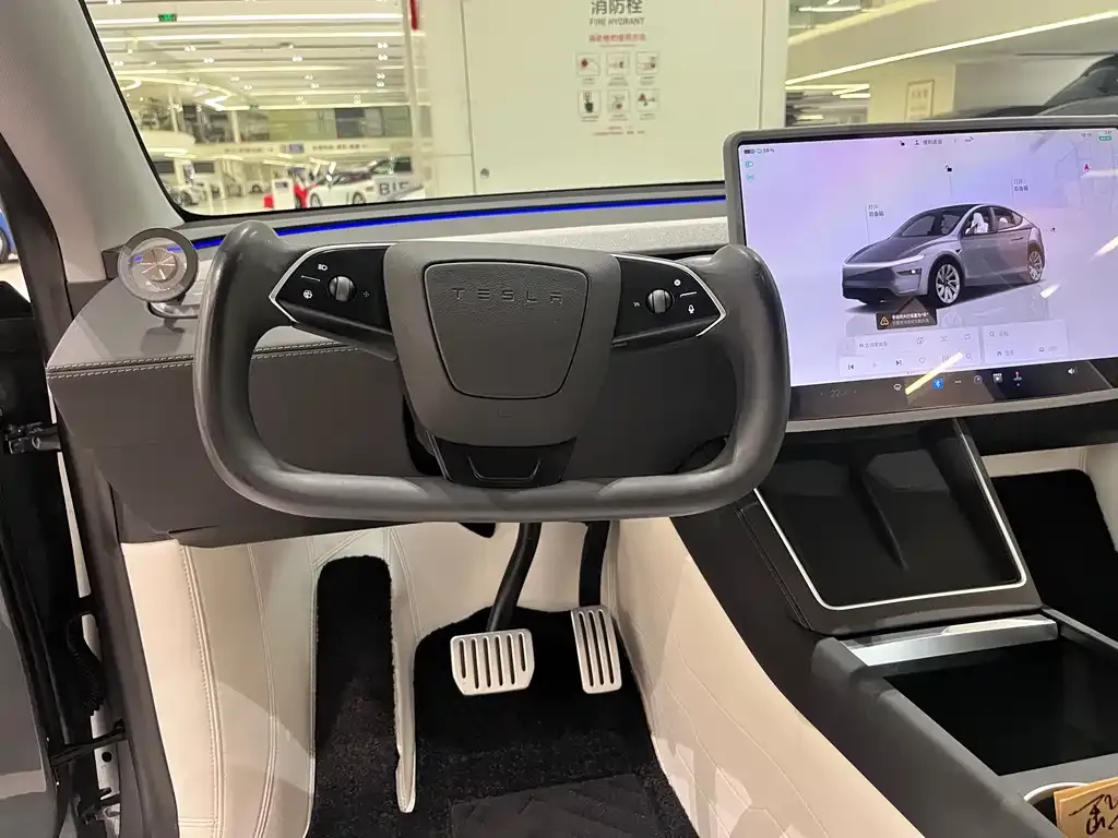 Tesla Model Y — фото 9