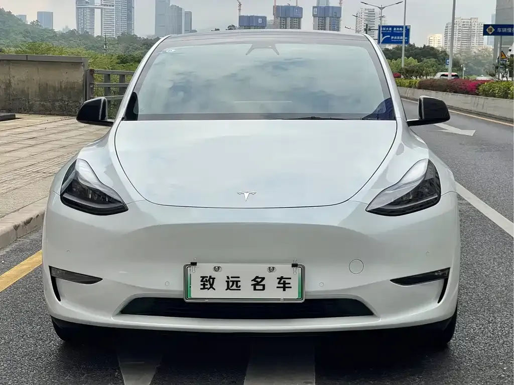 Tesla Model Y — фото 9