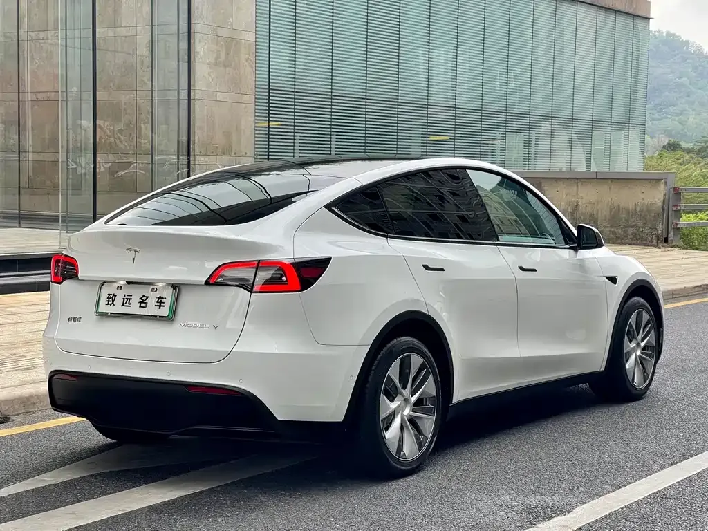 Tesla Model Y — фото 6