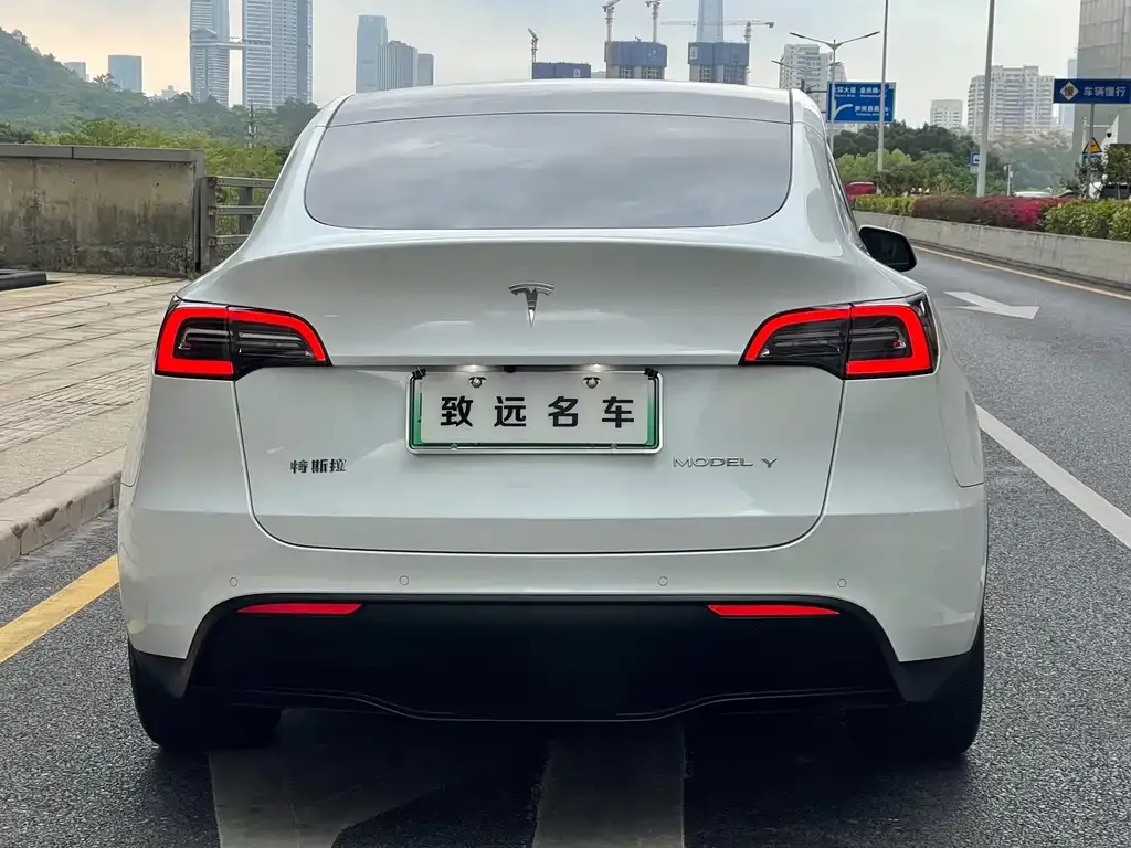 Tesla Model Y — фото 5