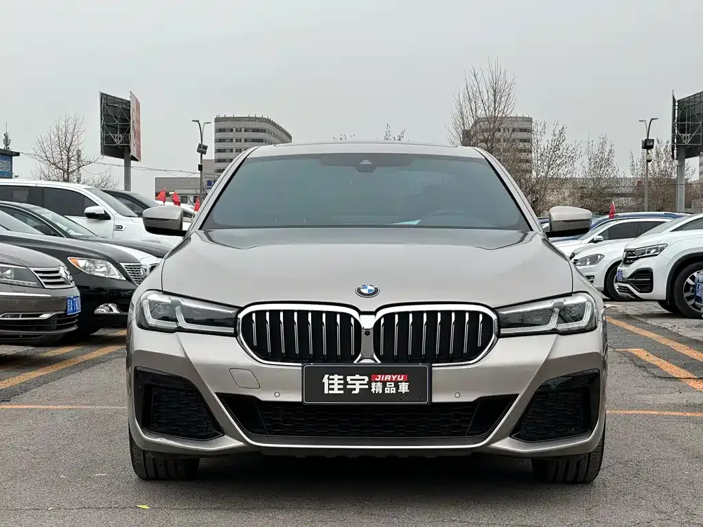BMW 5 Series 2021 из CN, фото 7