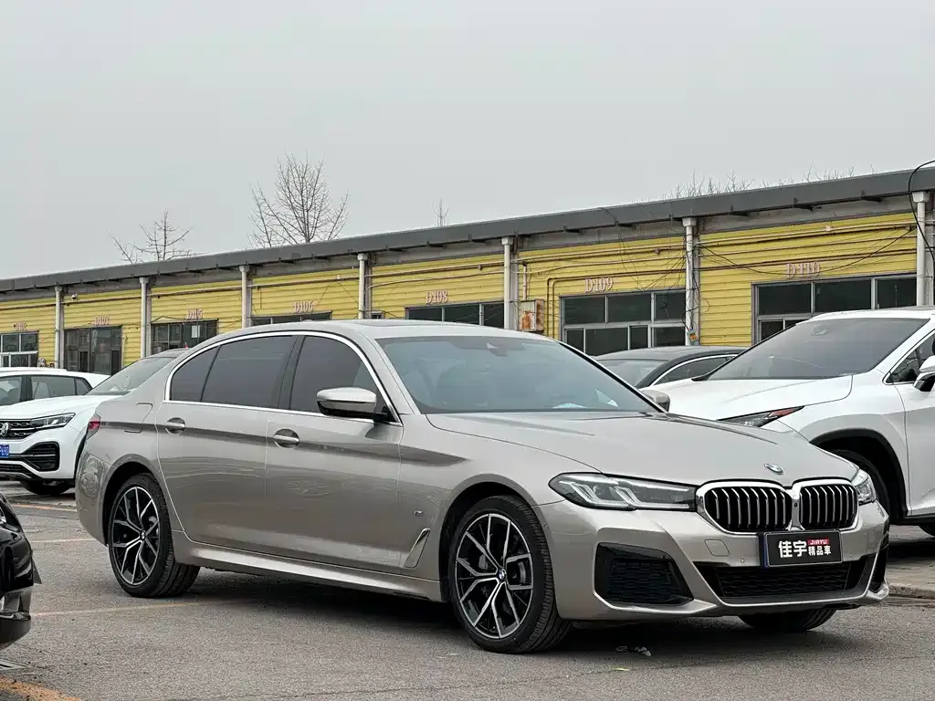 BMW 5 Series 2021 из CN, фото 5