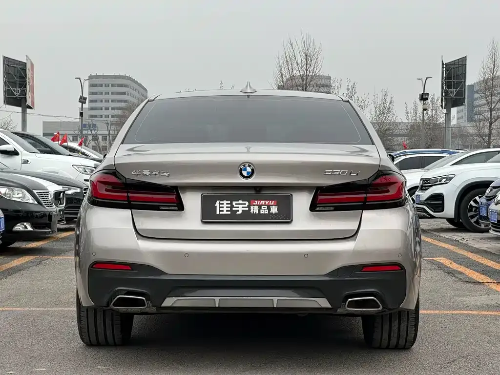 BMW 5 Series 2021 из CN, фото 8