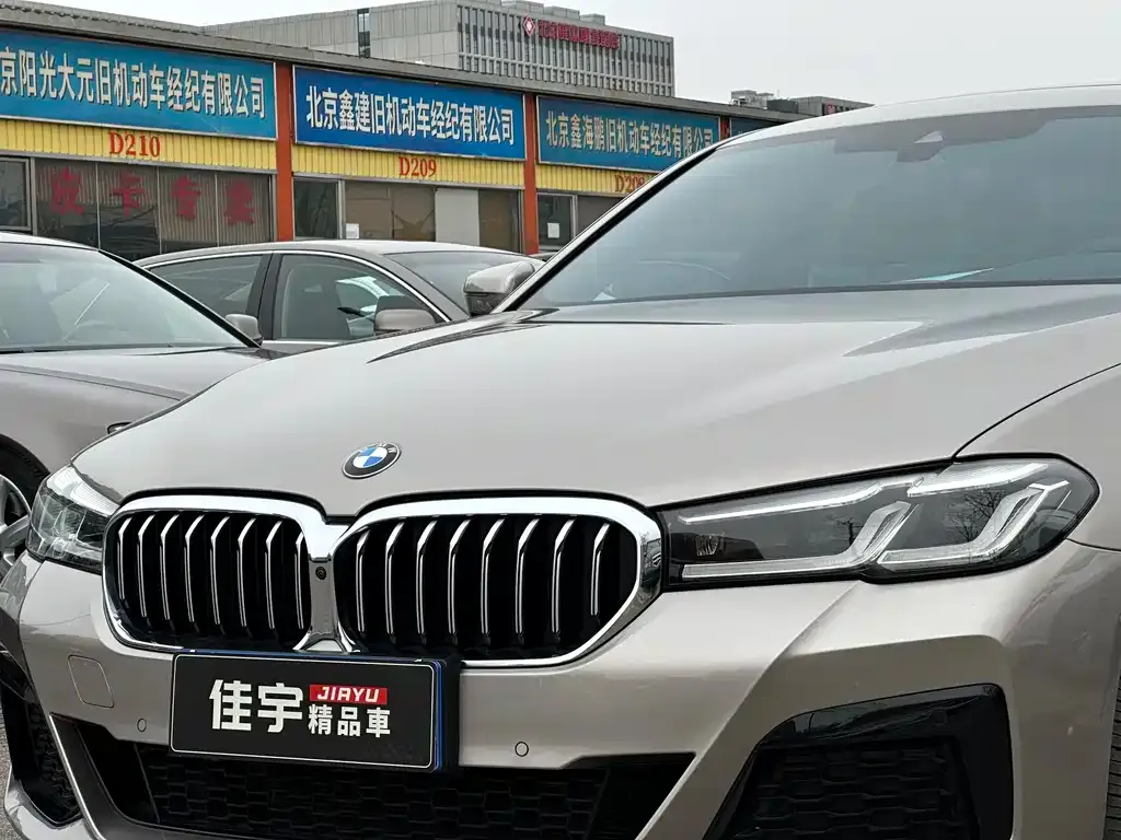BMW 5 Series 2021 из CN, фото 9
