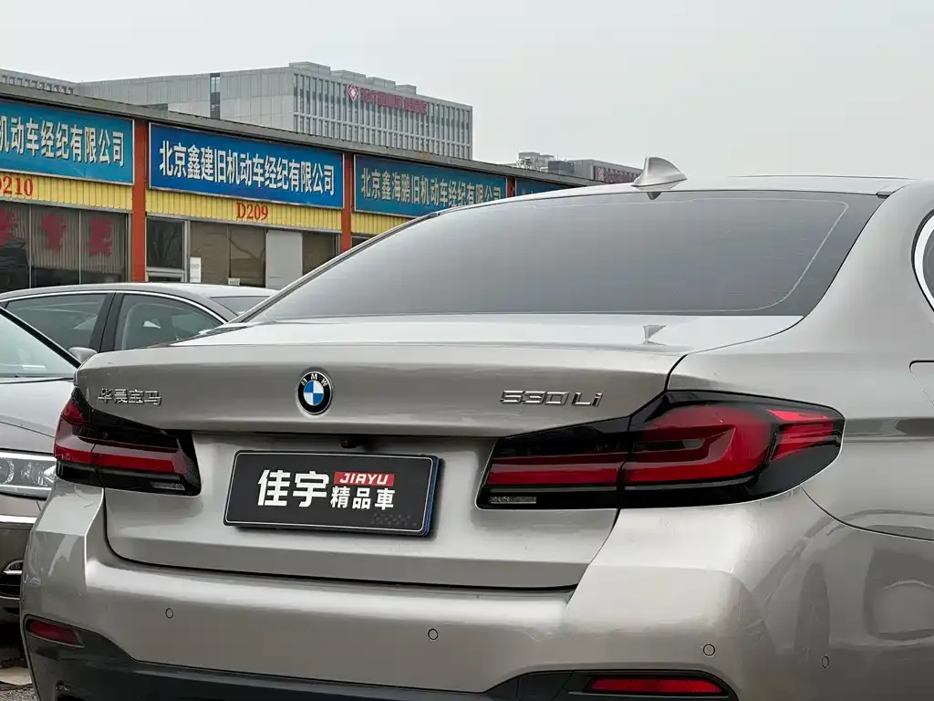 BMW 5 Series 2021 из CN, фото 4