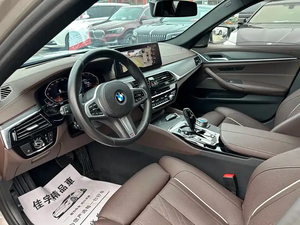 BMW 5 Series 2021 из CN, фото 10