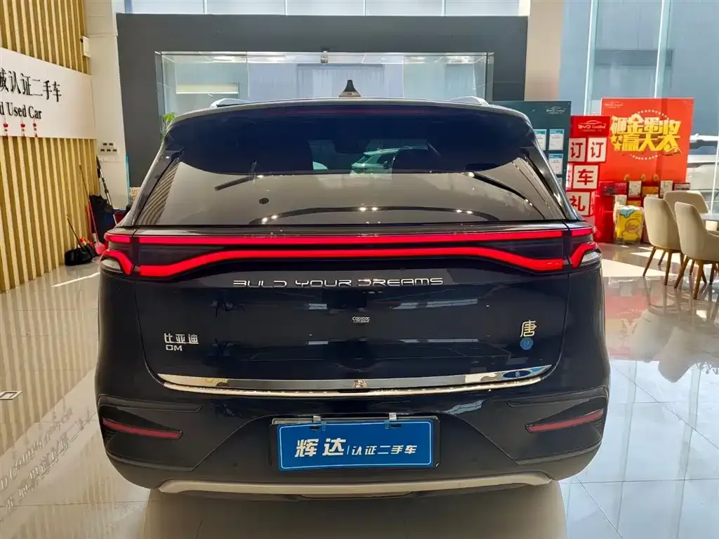 BYD Tang New Energy — фото 4