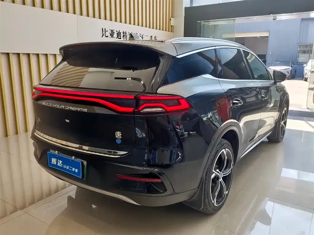 BYD Tang New Energy — фото 10