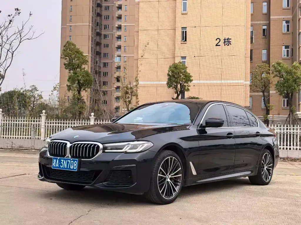 BMW 5 Series 2023 из CN, фото 1