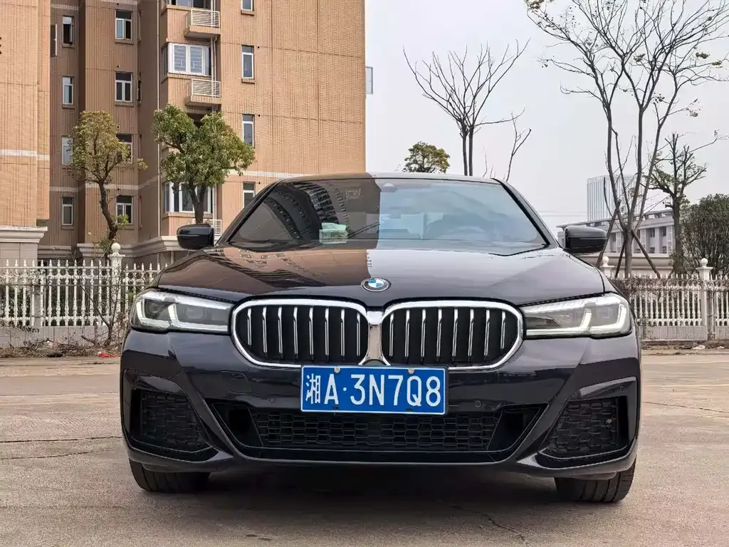 BMW 5 Series 2023 из CN, фото 10
