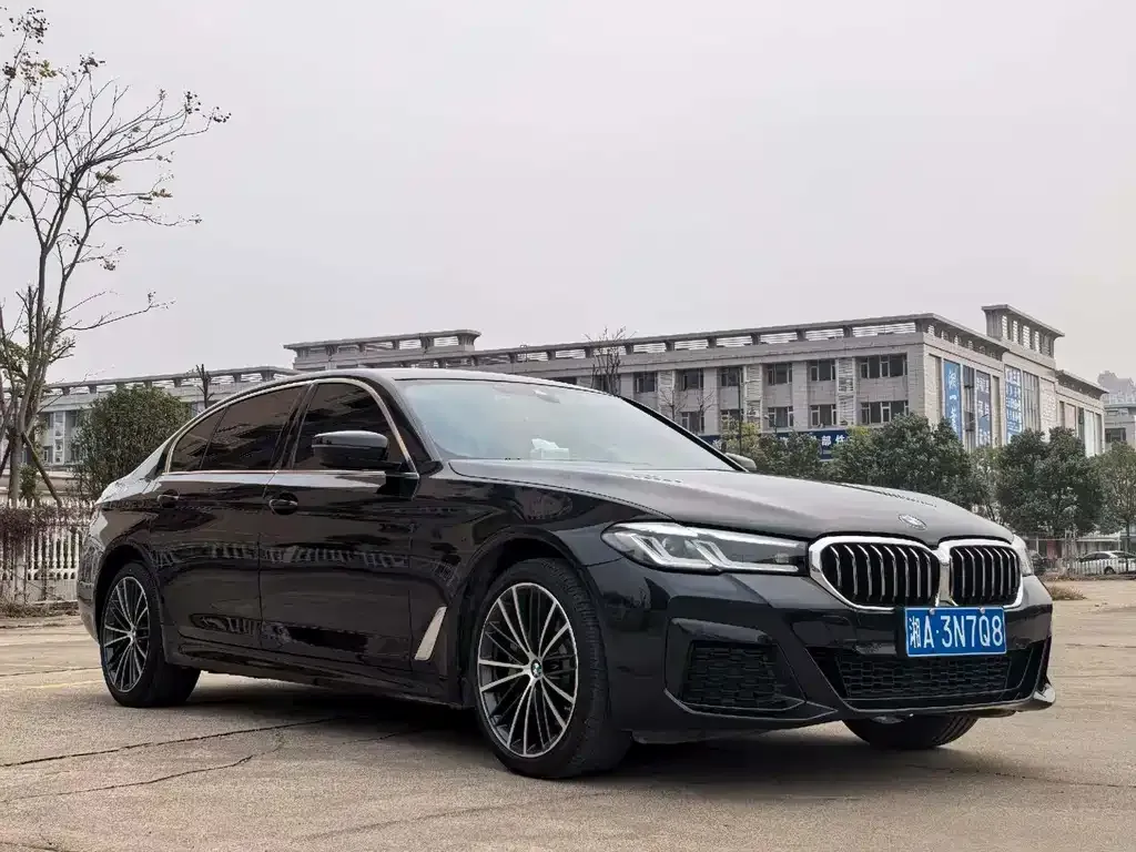 BMW 5 Series 2023 из CN, фото 9