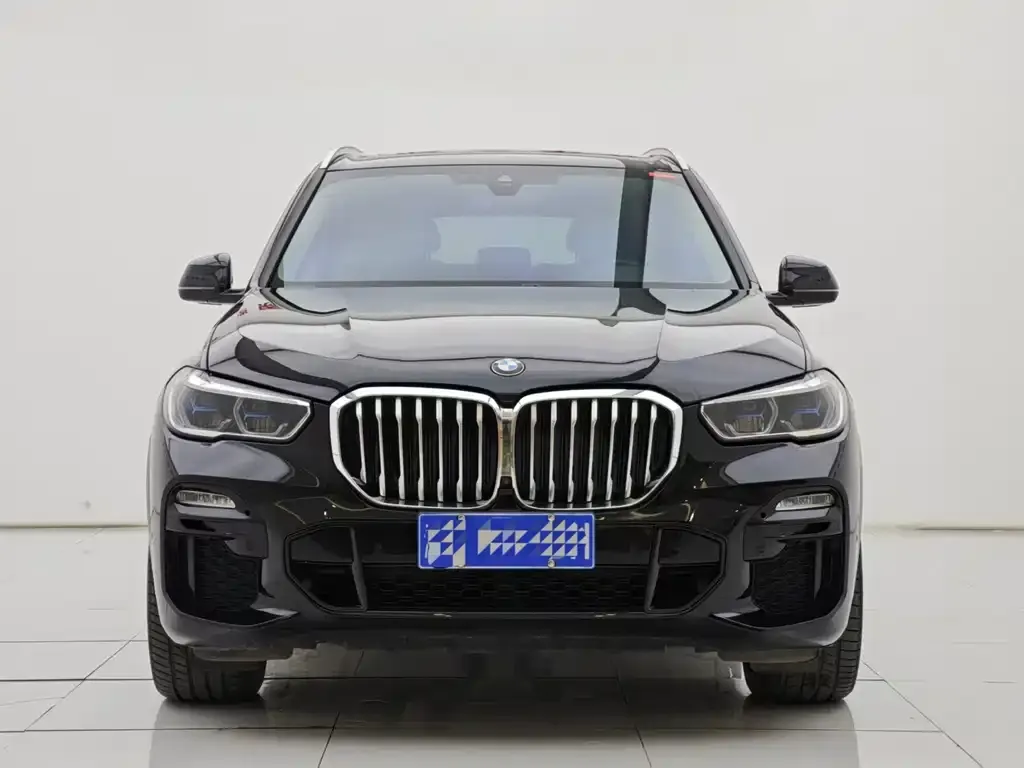 BMW X5 (Import) 2021 из CN, фото 3
