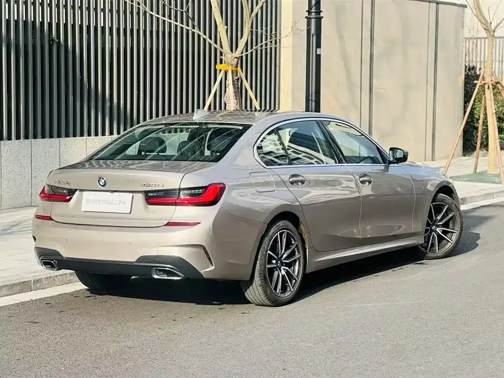 BMW 3 Series 2021 из CN, фото 6