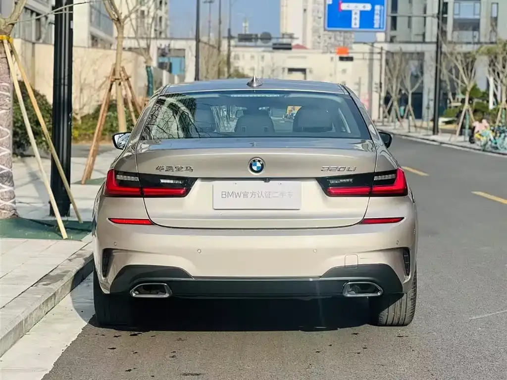 BMW 3 Series 2021 из CN, фото 5
