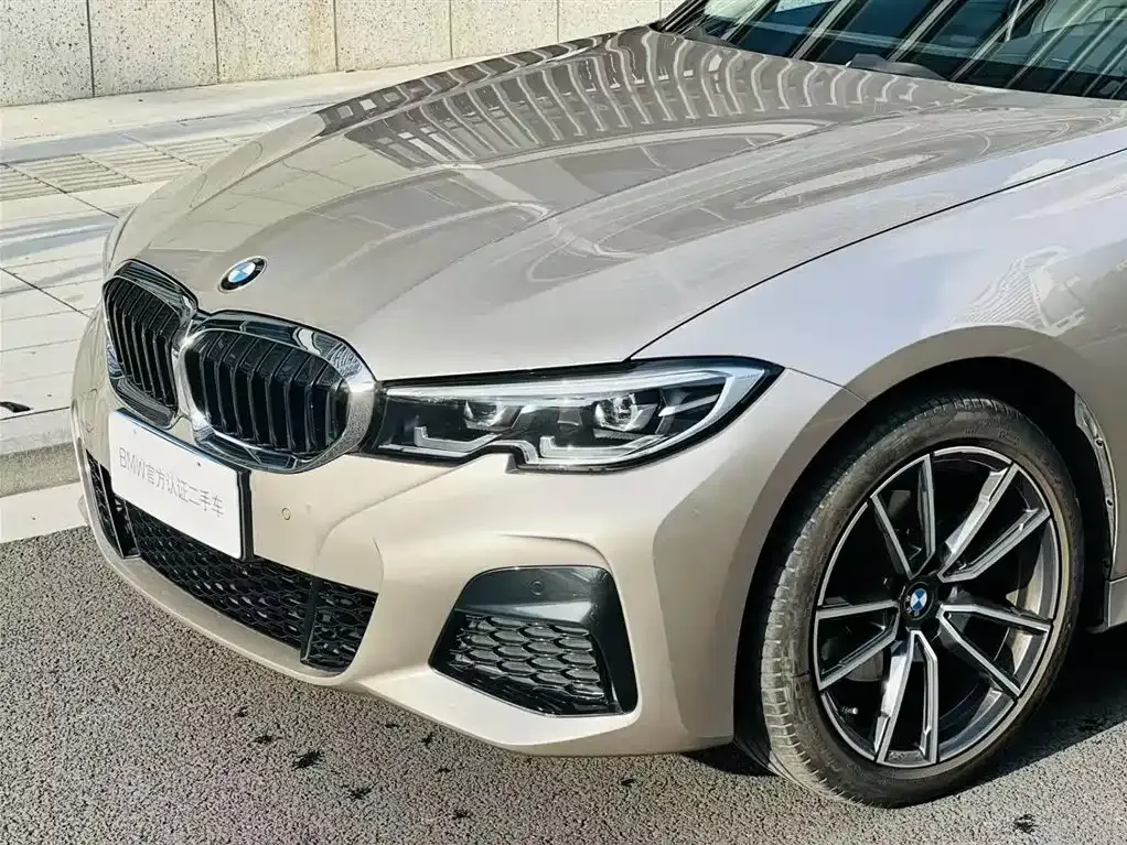 BMW 3 Series 2021 из CN, фото 2