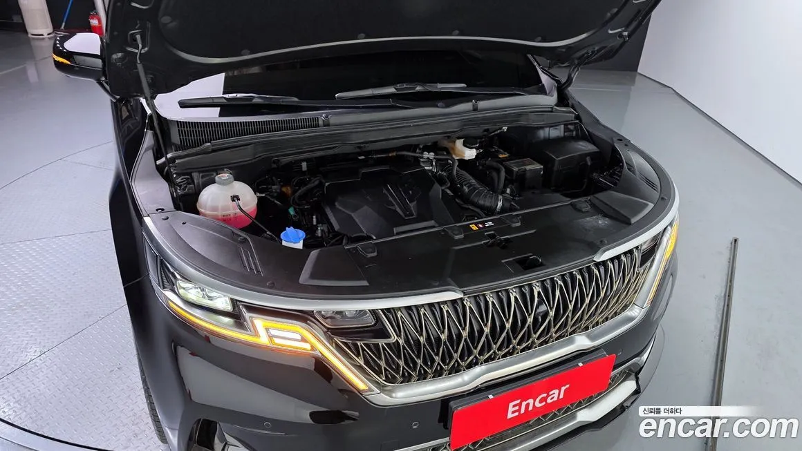 Kia Carnival — фото 10