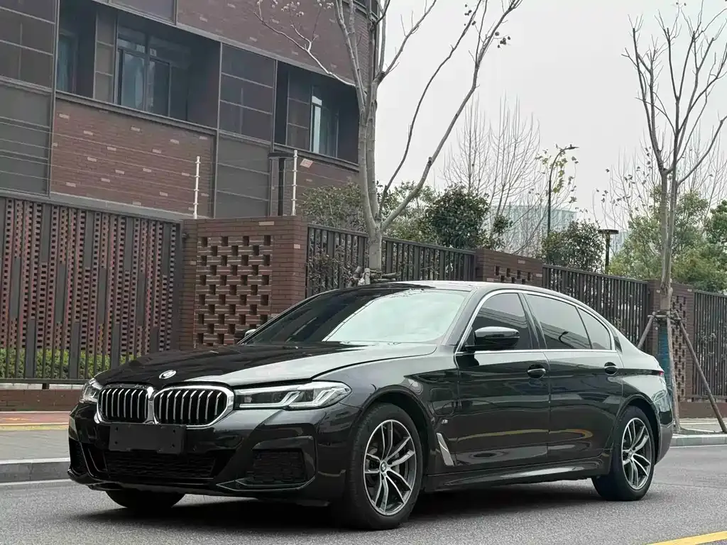 BMW 5 Series New Energy 535Le M Sport