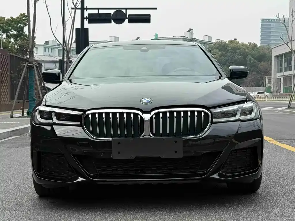 BMW 5 Series New Energy — фото 8