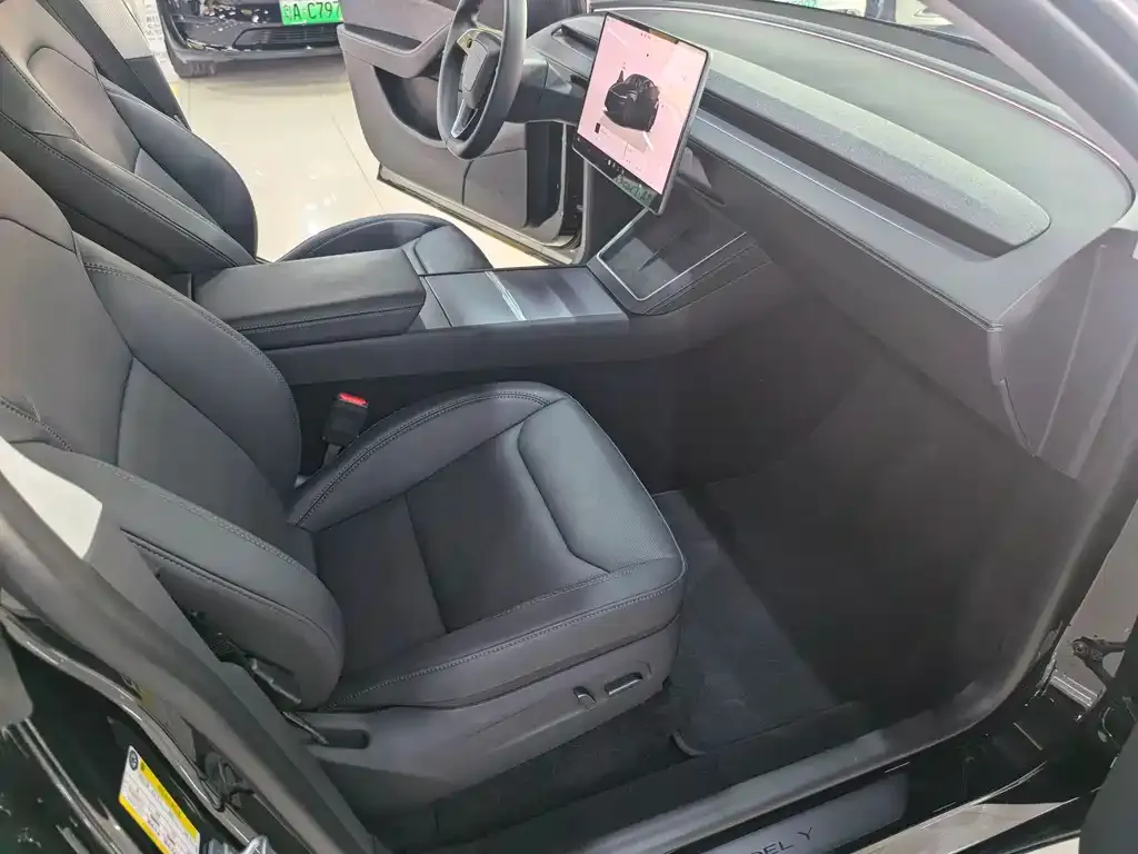 Tesla Model Y — фото 9