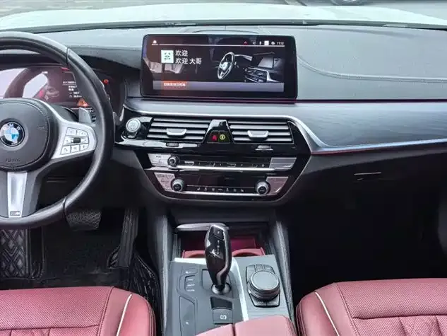 BMW 5 Series 2023 из CN, фото 4