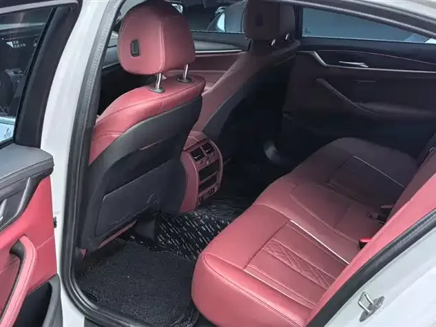 BMW 5 Series 2023 из CN, фото 6
