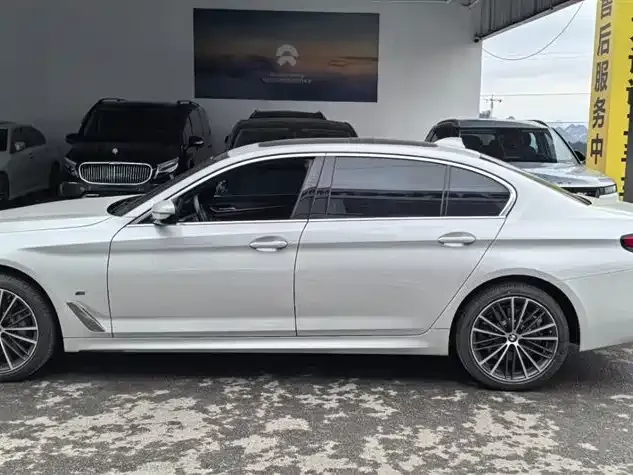 BMW 5 Series 2023 из CN, фото 5