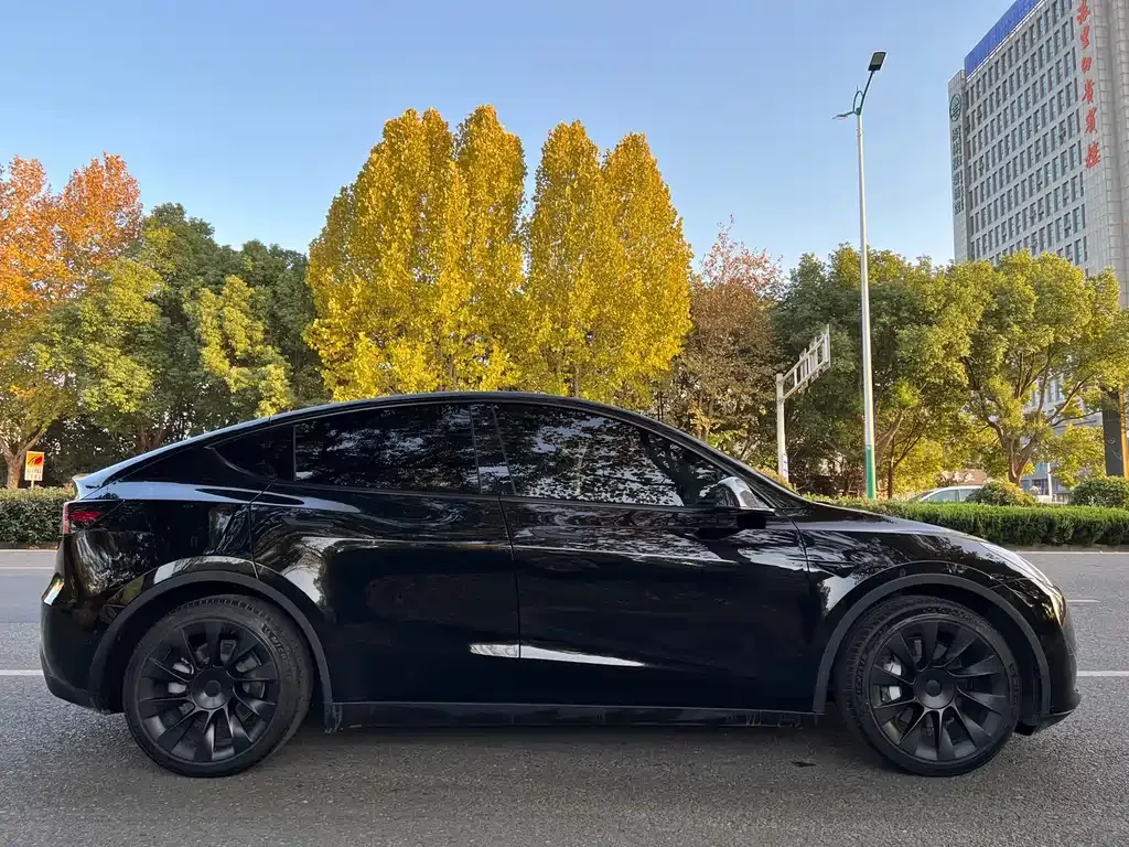 Tesla Model Y — фото 5