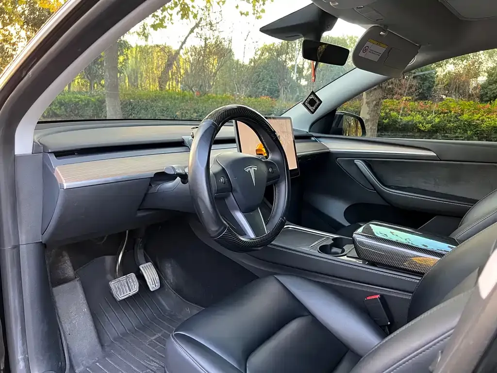 Tesla Model Y — фото 10
