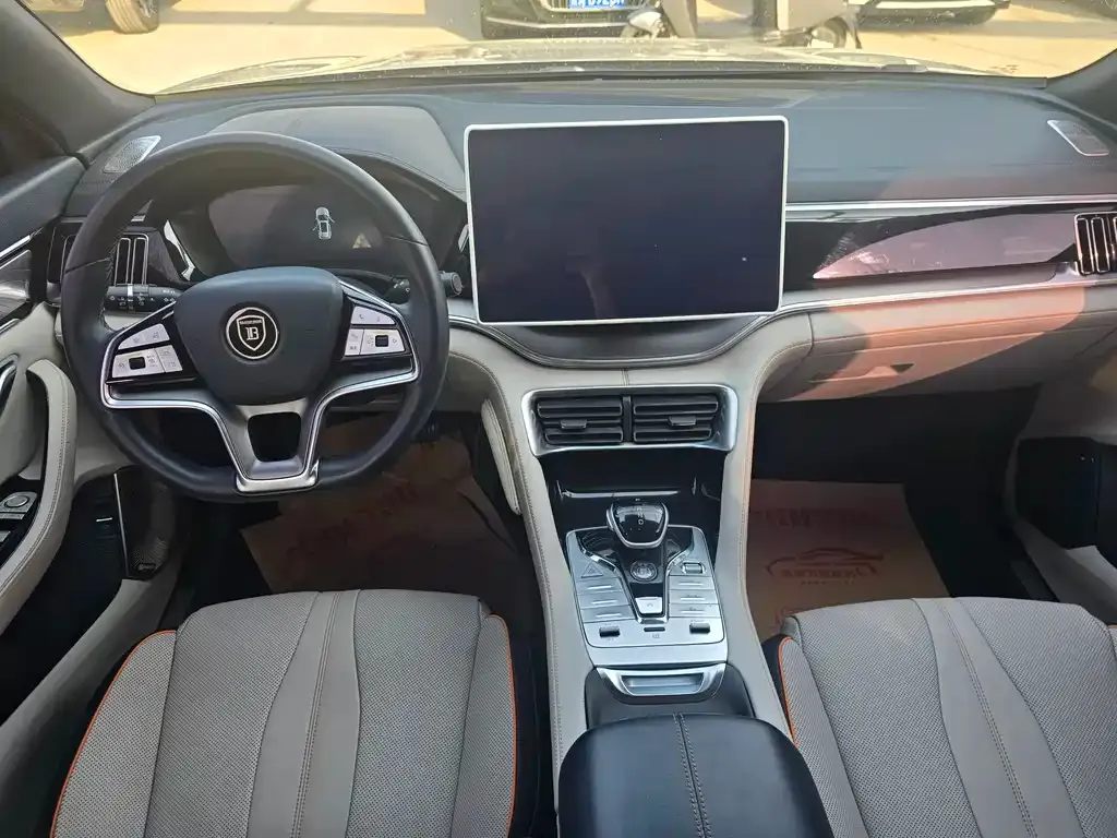BYD PLUS New Energy — фото 10