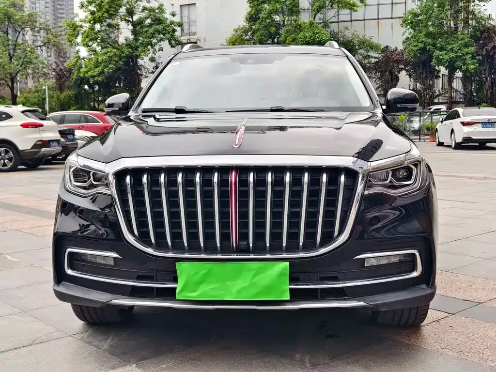 Hongqi HS7 2023 из CN, фото 10