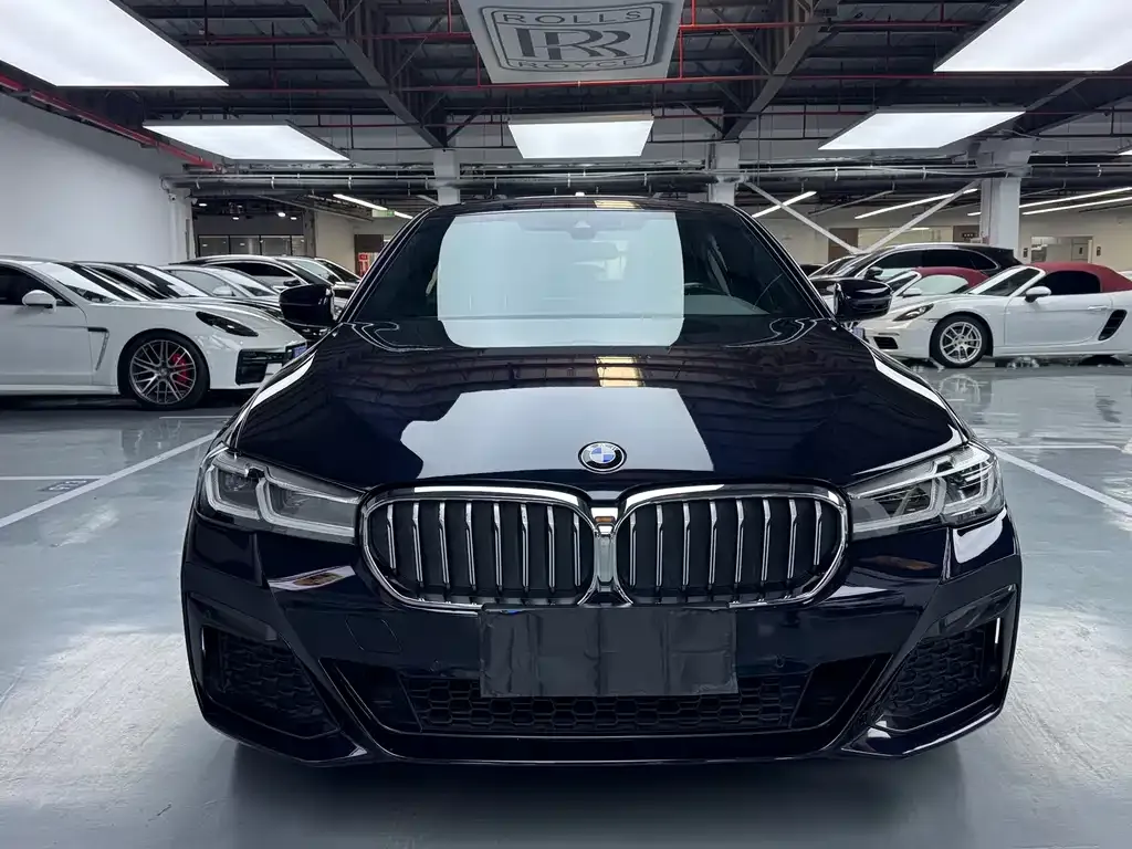 BMW 5 Series 2021 из CN, фото 7