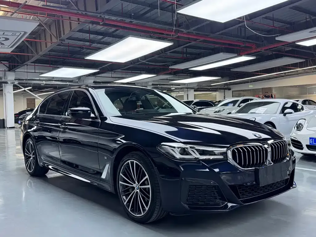 BMW 5 Series 2021 из CN, фото 8