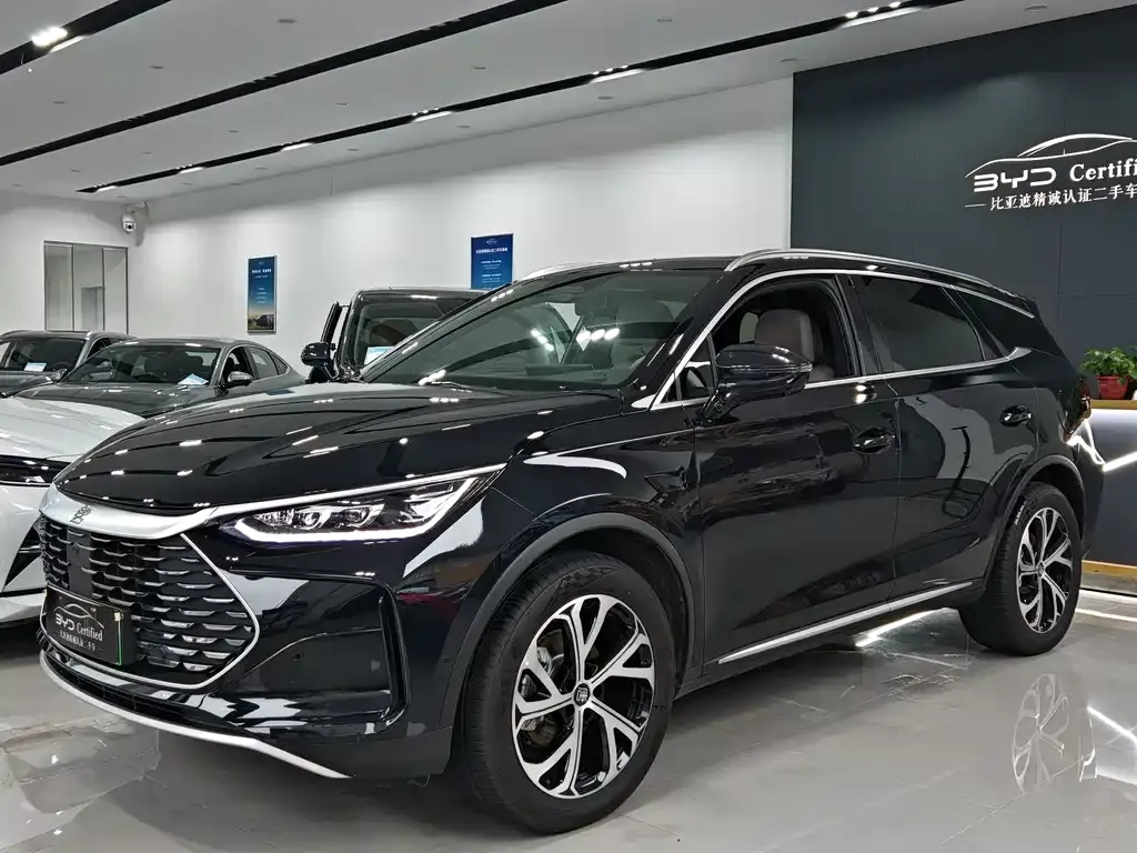 BYD Tang New Energy — фото 1