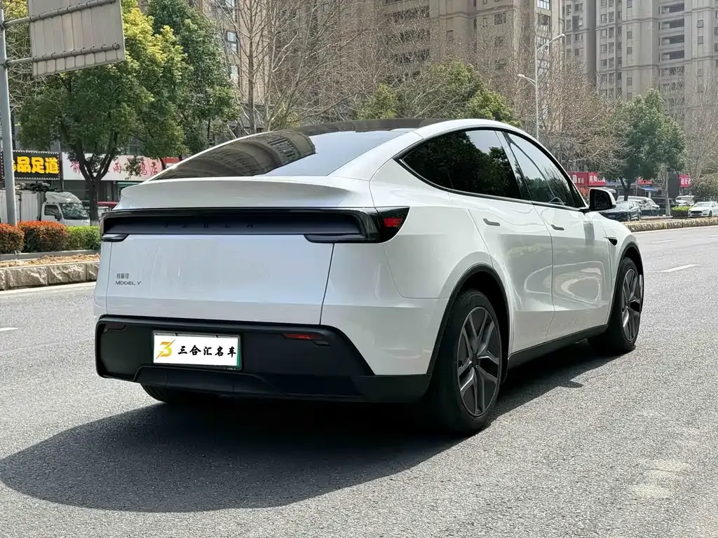 Tesla Model Y — фото 10