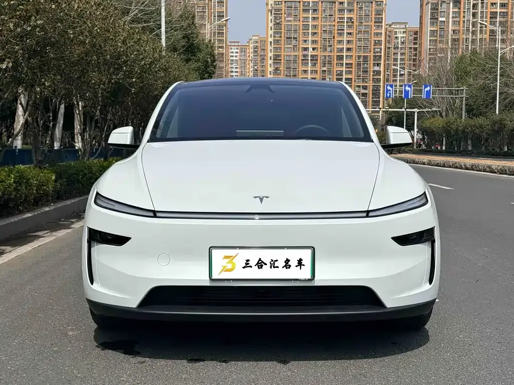 Tesla Model Y — фото 3