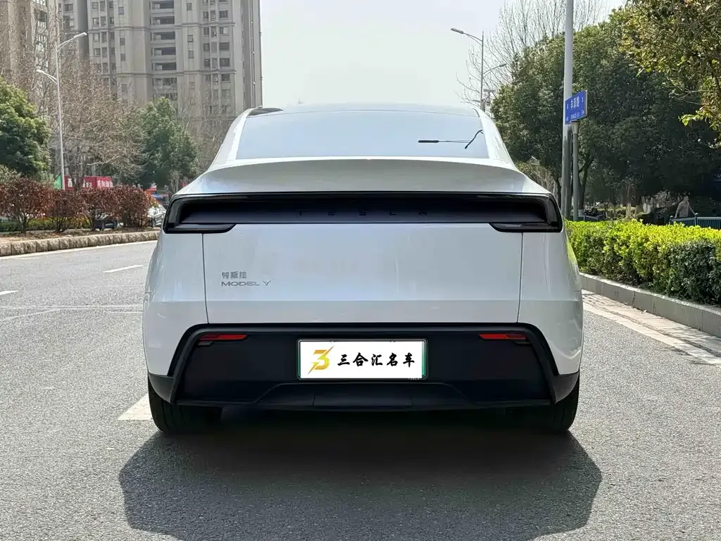 Tesla Model Y — фото 8
