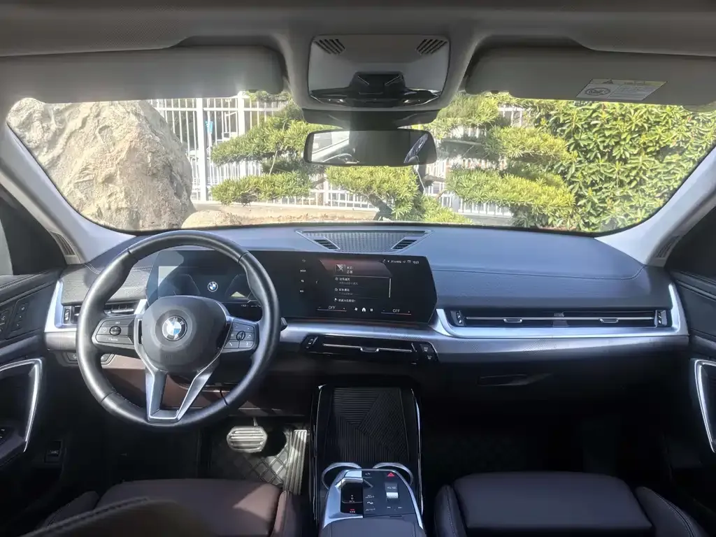 BMW X2 (Import) — фото 6