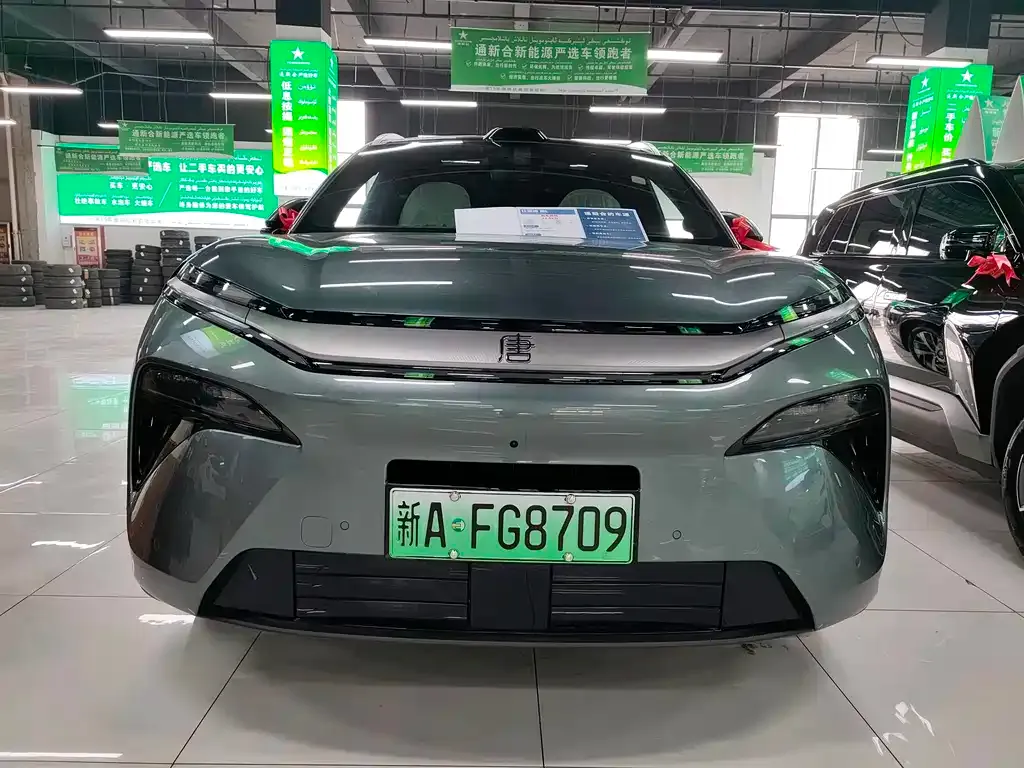 BYD Tang L 2025 из CN, фото 5
