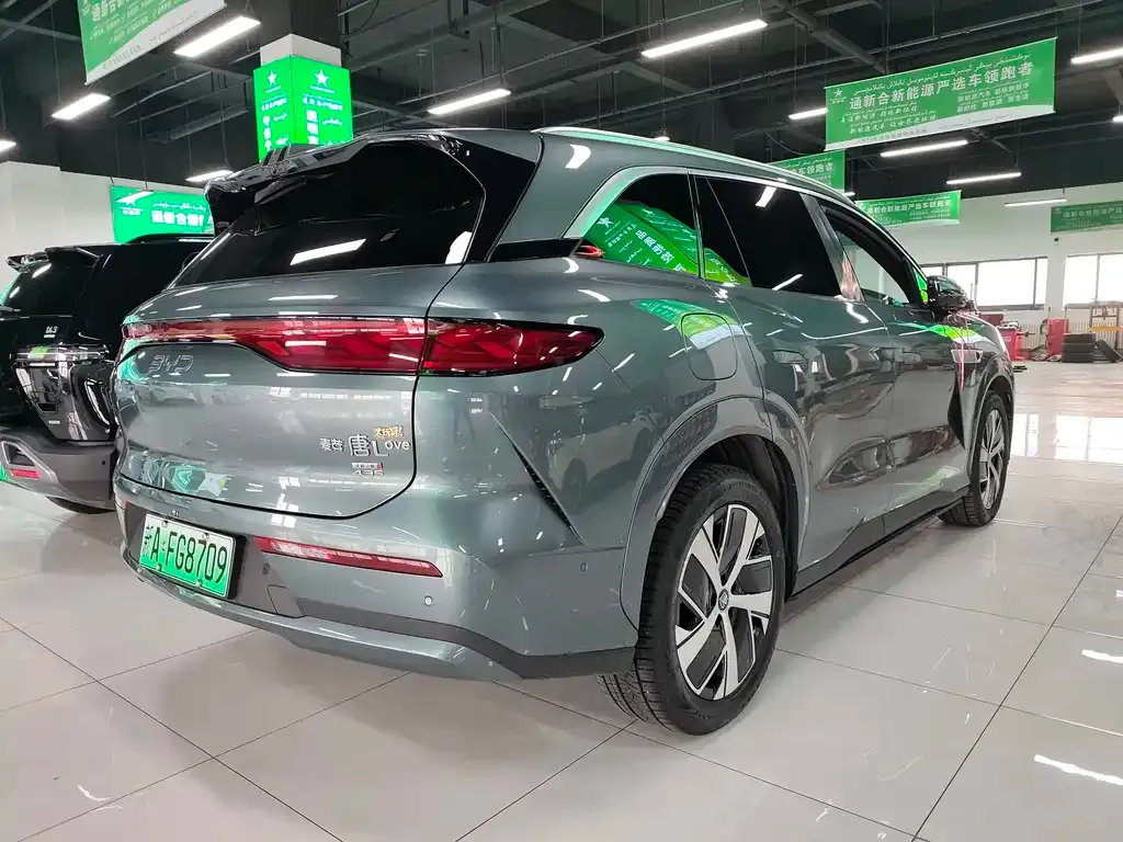 BYD Tang L 2025 из CN, фото 9