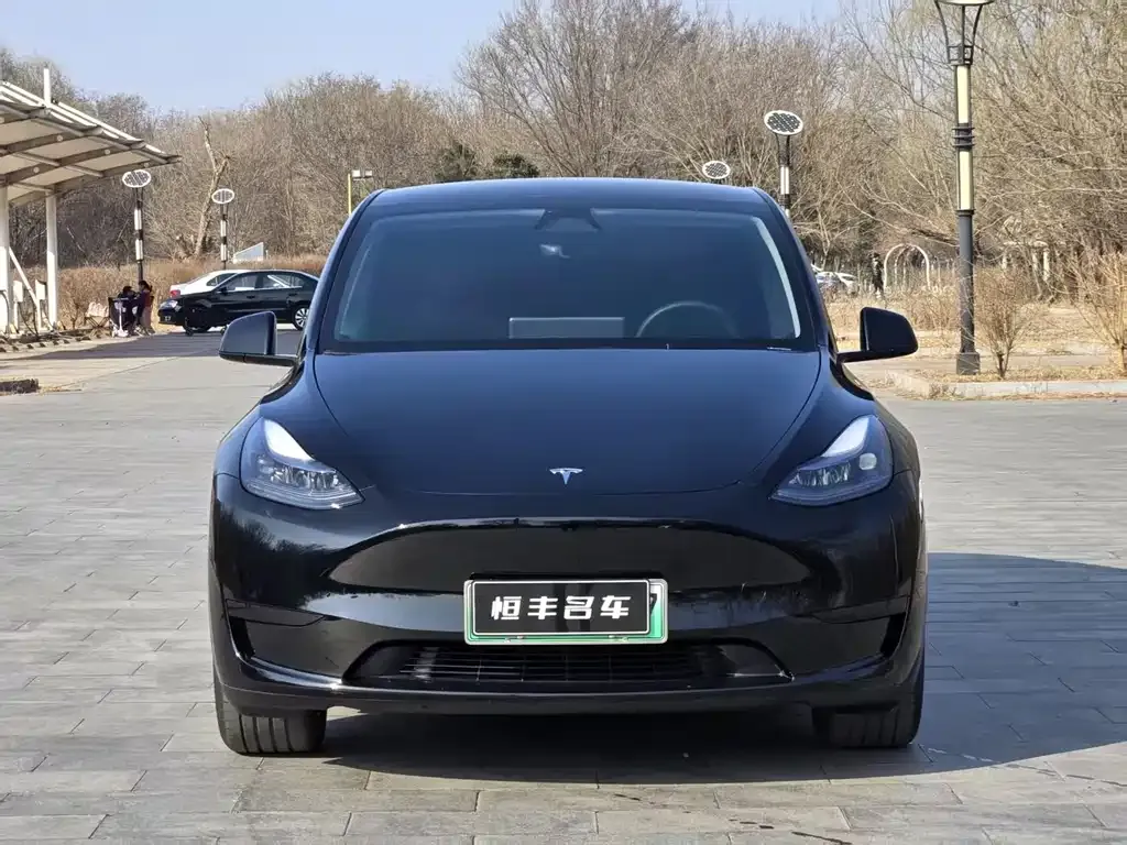 Tesla Model Y — фото 8