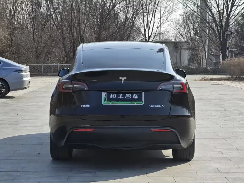 Tesla Model Y — фото 10