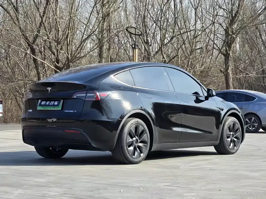 Tesla Model Y — фото 9