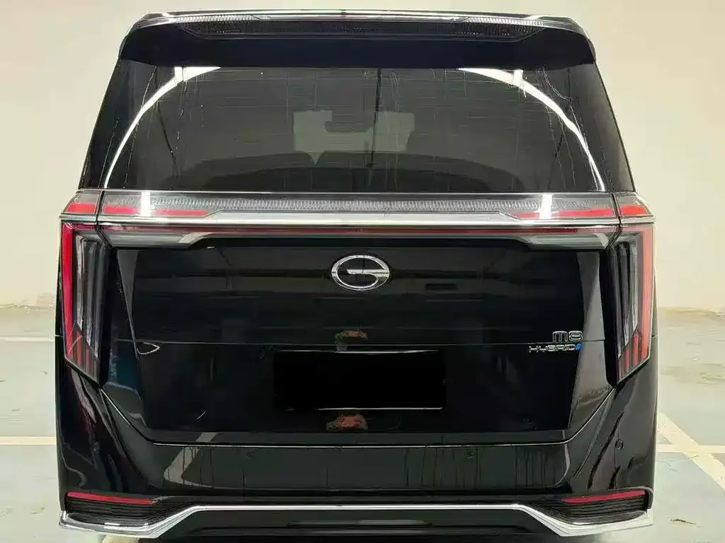 GAC Motor Trumpchi M8 2024 из CN, фото 2