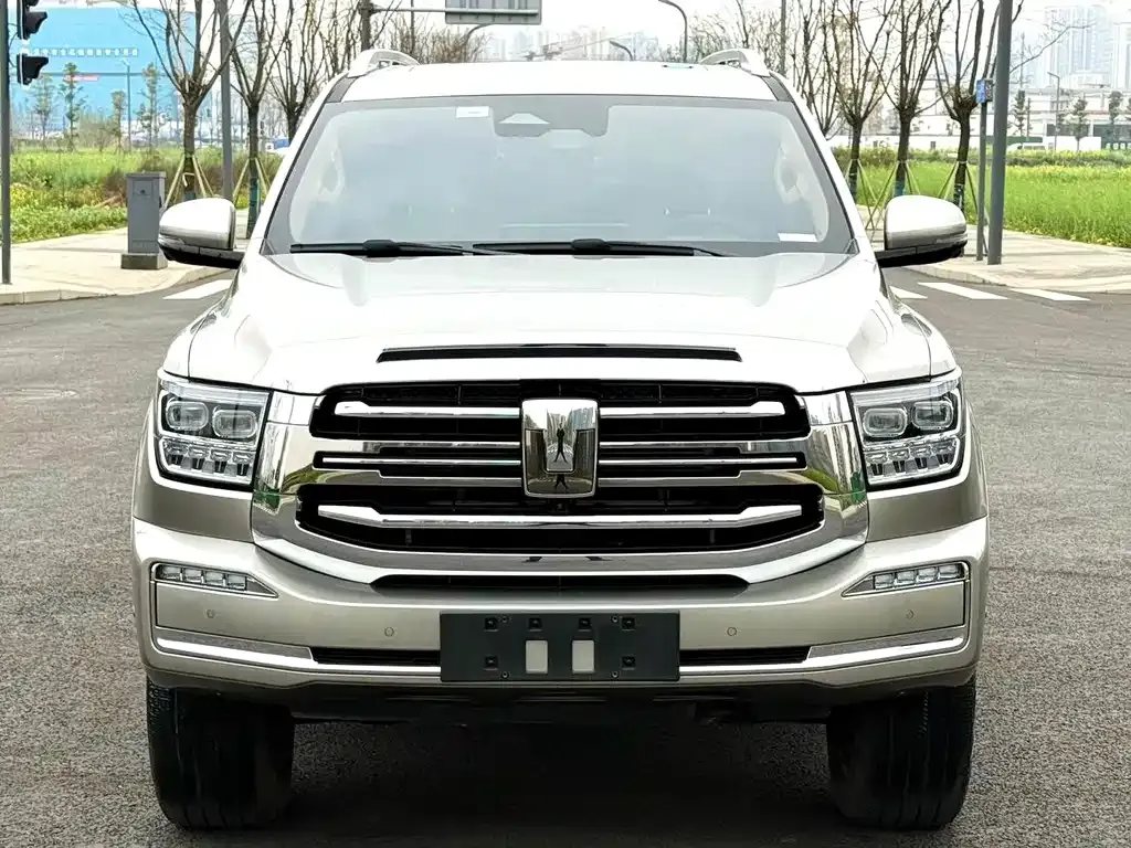 Tank 500 New Energy 2024 из CN, фото 7