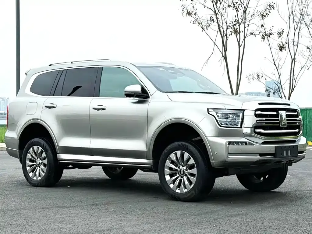 Tank 500 New Energy 2024 из CN, фото 10